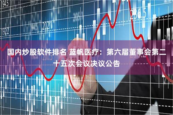 国内炒股软件排名 蓝帆医疗：第六届董事会第二十五次会议决议公告