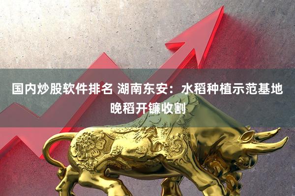 国内炒股软件排名 湖南东安:水稻种植示范基地晚稻开镰收割