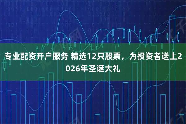 专业配资开户服务 精选12只股票，为投资者送上2026年圣诞大礼