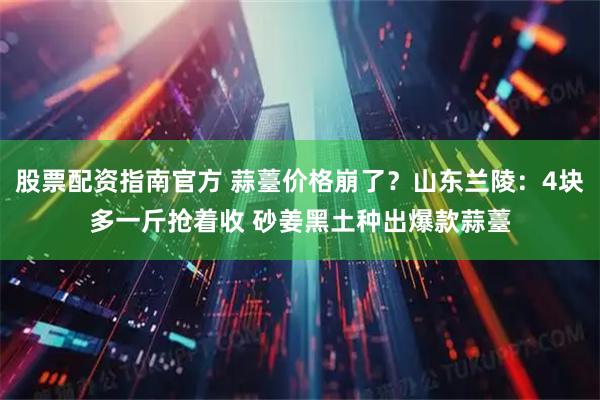 股票配资指南官方 蒜薹价格崩了？山东兰陵：4块多一斤抢着收 砂姜黑土种出爆款蒜薹