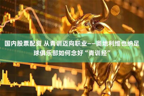 国内股票配资 从青训迈向职业——奥地利维也纳足球俱乐部如何念好“青训经”